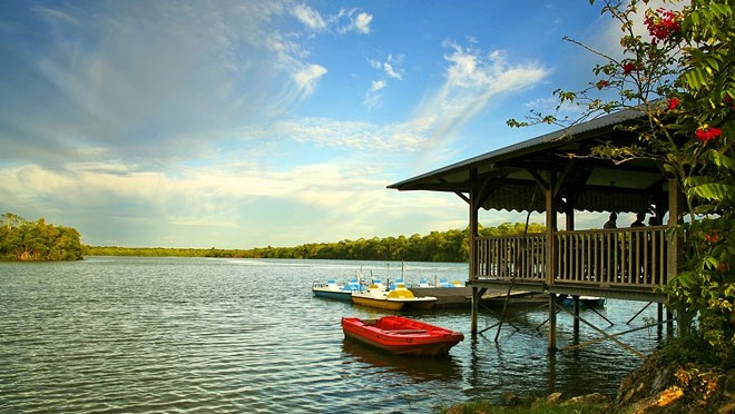 ����������